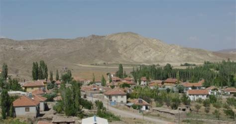 Kayseri Sarioglan terapi halı yıkama