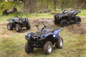 Use our FREE ATV instant trade-in value estimator below to instantly find out what your ATV or UTV is worth to a dealer. The most popular ATV brands include: …. 
