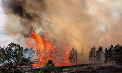 Kbhb obituaries.  Several fire agencies collaborated, utilizing two helicopters...