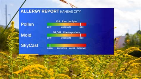 Albany, NY. Flint, MI. Hartford, CT. Rochester, NY. Get Current Allergy Report for Kansas City, MO (64153). See important allergy and weather information to help you plan ahead..