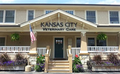 Kc vet care. Things To Know About Kc vet care. 