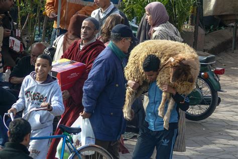 Kebir Halı ve Koltuk Yıkama