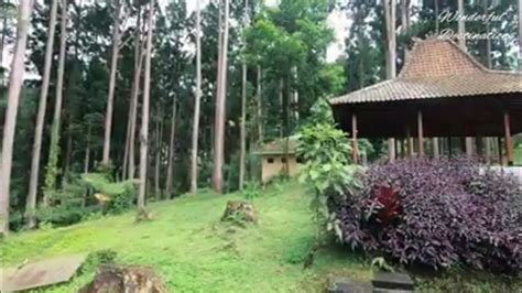 Kebun Raya Baturaden Puwokerto, Tempat Wisata Paling Alami