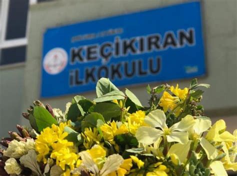 Kecikiran Halı ve Koltuk Yıkama