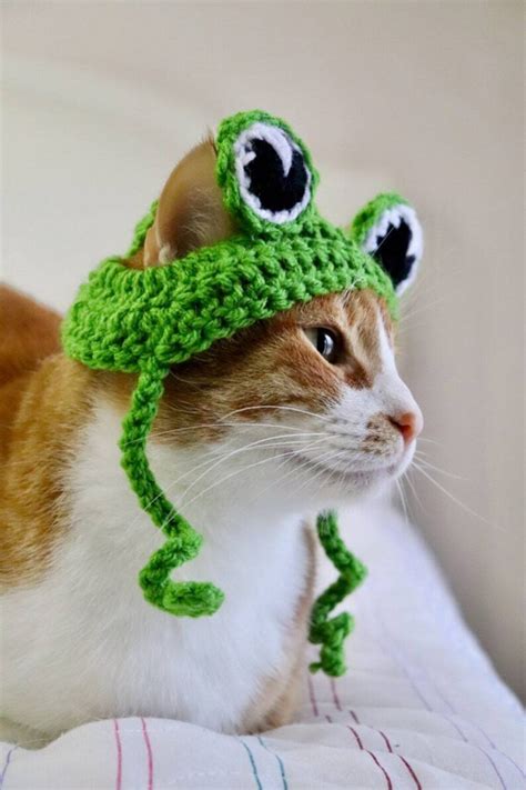 Kedi şapkası nasıl yapılır