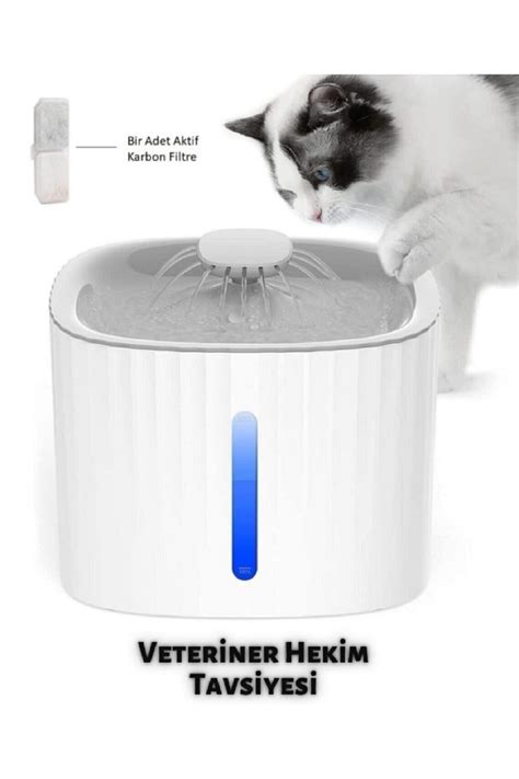 Kedi su içme pınarı