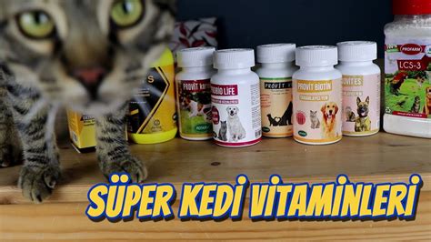 Kedi vitamin önerisi