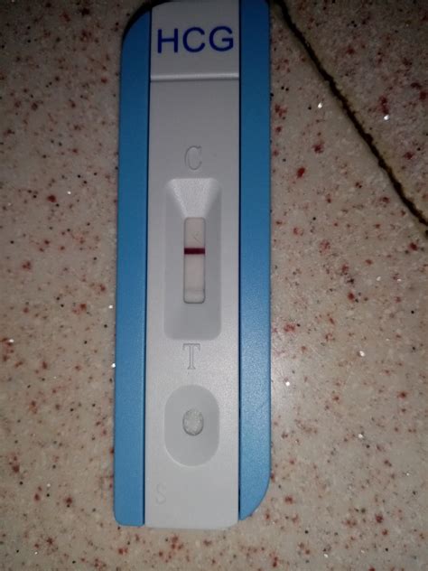 Kedim hasta mı lütfen acil yardım Kadınlar Kulübü Kadın Sitesi. 