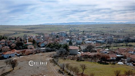 Kediyunu Halı ve Koltuk Yıkama