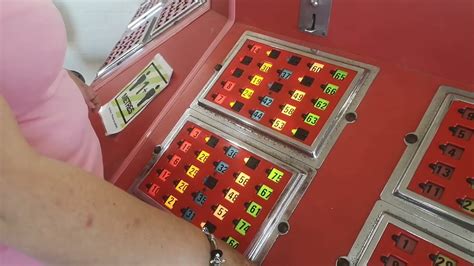 Keeley playing bingo at the humber pastimes arcade, …