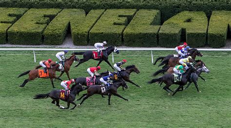Keeneland picks free. Keeneland Entries and Keeneland Results updated live for all races, plus free Keeneland picks and tips to win. 