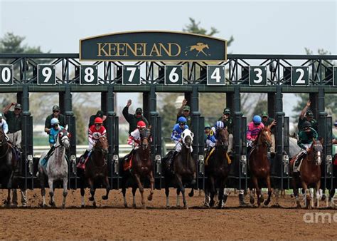 Keeneland race card. Keeneland Entries & Results for Saturday, October 8, 2022. Founded in 1936 and located in the heart of Central Kentucky’s famed Bluegrass Region, Keeneland plays an important role in both Thoroughbred racing and breeding. Biggest stakes: Derby preps Blue Grass Stakes and Lexington Stakes, plus the Spinster Stakes and Shadwell Turf Mile . 