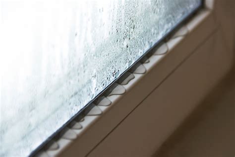 Keep Condensation & Damp Out This Winter EnviroVent