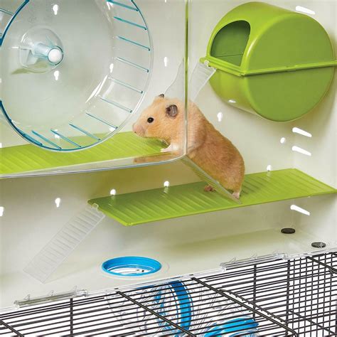 Keeping Hamsters As Pets - When housing Hamsters