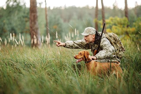 Keeping hunting dogs off private land? - North Carolina Gun Owners