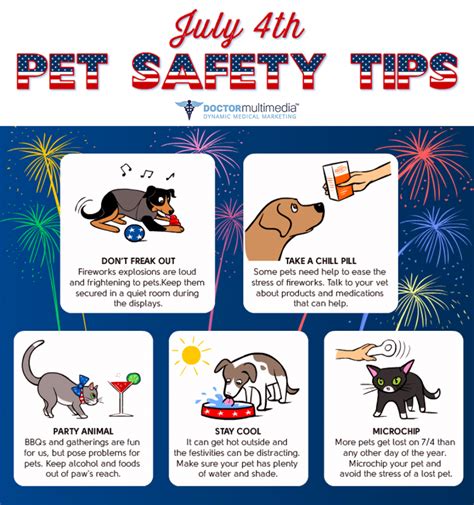 Keeping pets safe and calm during Independence Day celebrations
