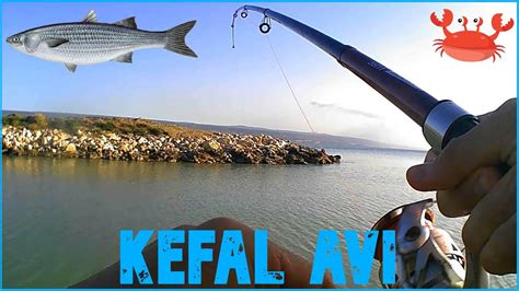 veodersti.rgarabwor.edu.pl. 