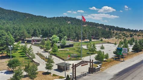 veodersti.rgarabwor.edu.pl. 