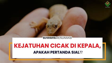 Kejatuhan cicak di kepala togel. Pola gacor petir merah.