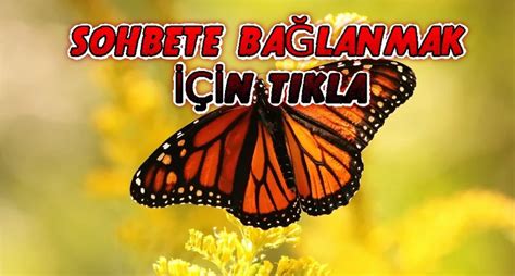 Kelebek Chat Odaları  KeLebek Mirc. 