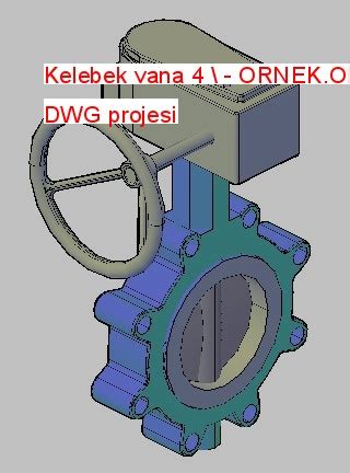 Kelebek Vana Projesi.