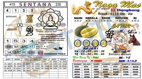 Kelinci togel 2021 hari ini. Cara tebak angka togel.