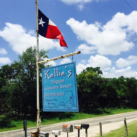 Kellie's doggie country resort. CLOSED NOW. Today: 8:00 am - 5:00 pm. Tomorrow: 8:00 am - 11:00 am. 25. YEARS. IN BUSINESS. (830) 990-0051 Add Website Map & Directions 59 Segner RdFredericksburg, TX 78624 Write a Review. 
