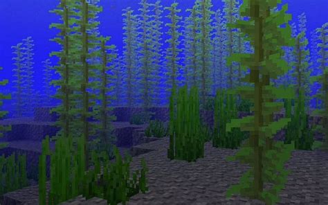 Kelp in Minecraft