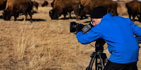 Ken Burns turns his camera on ‘The American Buffalo’