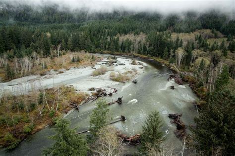 Kennedy Watershed Restoration Project