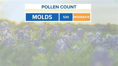 Kens 5 pollen count. Oct 10, 2023 · Pollen.com will send your first allergy report when pollen conditions reach moderate levels (above 4.0), which is the point where most people experience symptoms. Allergy reports help you plan for the day ahead and treat your symptoms before they occur, giving you a happier, healthier tomorrow. 