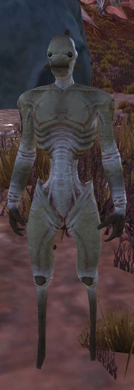  Help : r/Kenshi. My dark hive prince isn't eating at all. Help. I dont know what's causing this. Everybody else is eating normally. EDIT: bought normal food and it worked. They weren't eating foul meat I don't know why. And that was only happening to some of the crew, not all of them had this bug. Since I'm swimming in cash I can afford to buy ... . 