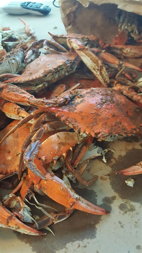 Kent island crabs. Our dockage is limited to your time in the restaurant only. If you need overnight dockage, please call the Marina at 410-643-4404. If traveling by car, we are located at 3032 Kent Narrows Way S.,Grasonville , … 
