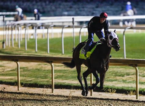 Kentucky Derby entrant Wild On Ice euthanized after injury