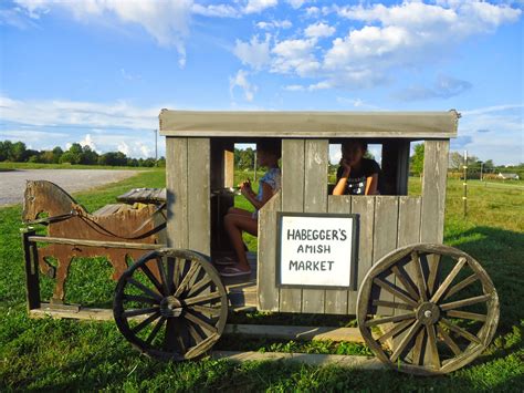 Habegger's Amish Market is located at 415 Perrytown Rd in Scottsville, Kentucky 42164. Habegger's Amish Market can be contacted via phone at 270-618-5676 for pricing, hours and directions.. 