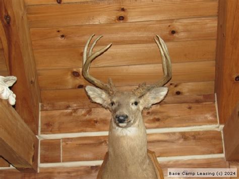 As hunters have embraced hunting leases, most landowners don't have much of a problem finding hunters. Listing your property on Craigslist or taking out a .... Kentucky hunting leases craigslist