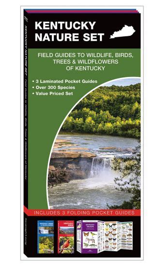Kentucky nature set field guides to wildlife birds trees wildflowers of kentucky. - Anatomy and physiology manual answers key.