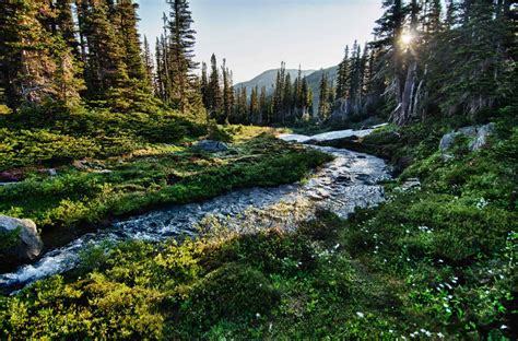 Keoni CBD on Instagram: "Olympic National Park is one to visit!