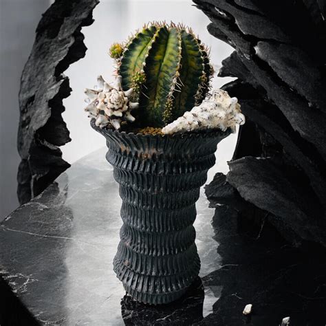 Keops Botanic & Özel Tür Kaktüs & Seramik Toprak Kil Saksı Küp. 