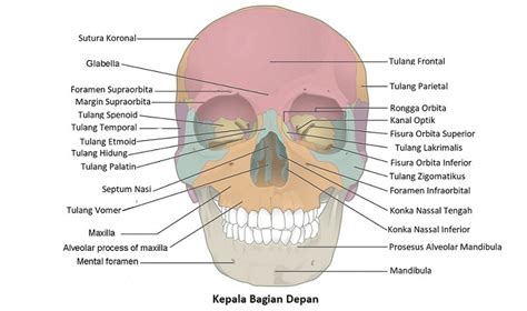 Kepala pusing bagian depan dekat alis.  Benign paroxysmal positional v...