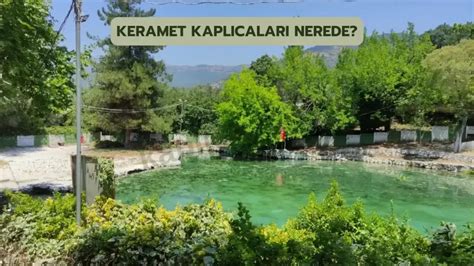 Keramet Halı ve Koltuk Yıkama