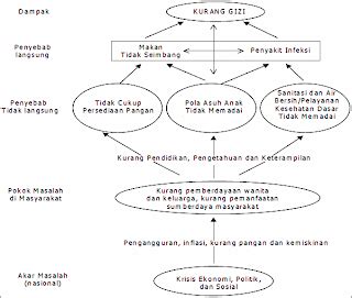 Kerangka teori unicef status gizi