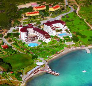 codini.rgarabwor.edu.pl. 