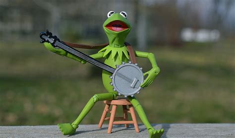 Kermit'e benzeyen 270 milyon yıllık kurbağa fosili keşfedildi!. 