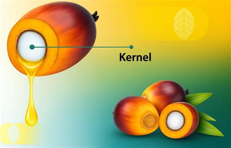 Kernel density itu apa.  Definisi Kernel Kernel, atau inti, merupakan das...