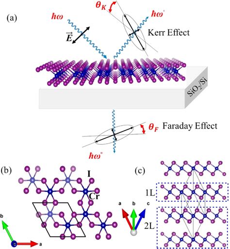 Kerr and Faraday effects in optical cables - 百度学术