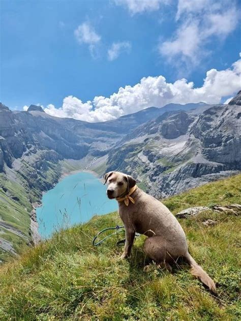 Kerstin Knothe on Instagram: “#mountainlove #bergwelten …