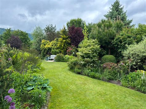 Kert Halı ve Koltuk Yıkama