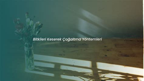 Keserek parçalamak. 