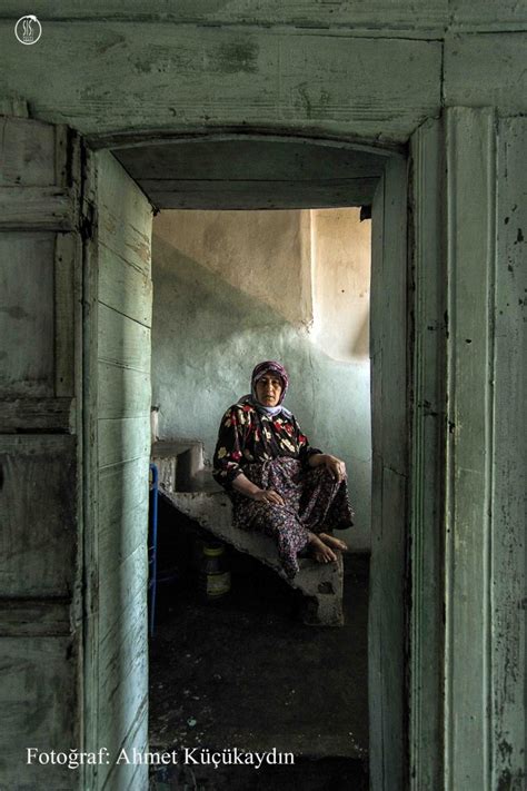 Kestaneagaci Halı ve Koltuk Yıkama